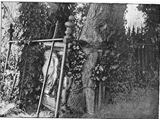 Maiden's tomb c 1900