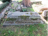 Thomson grave